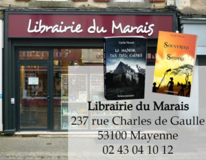 Les romans à la librairie du Marais